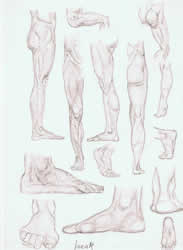 Foot study | pencil on paper - 12 x 8 inch
